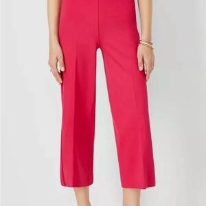 NWOT Ann Taylor Slim Wide Leg High Rise Side Zip Crop Pants in Fuchsia
